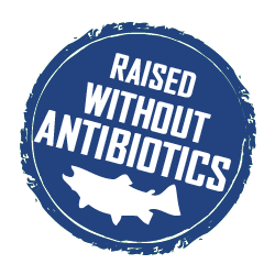 No Antibiotics